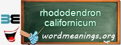 WordMeaning blackboard for rhododendron californicum